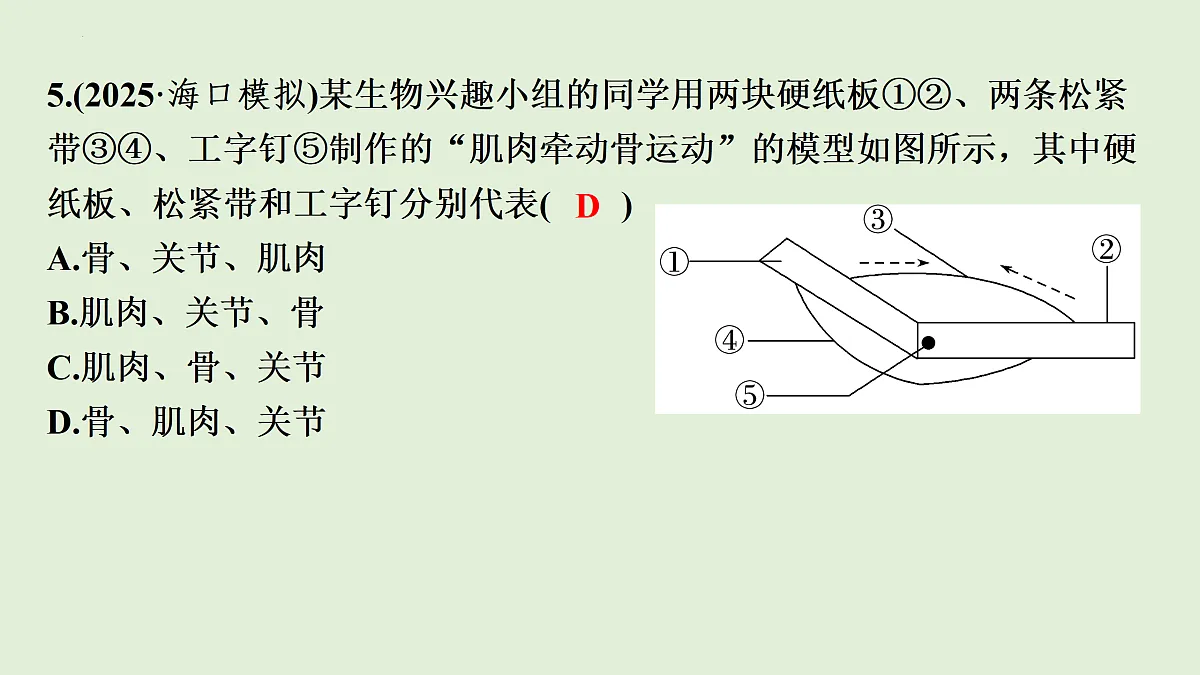17498155第7页