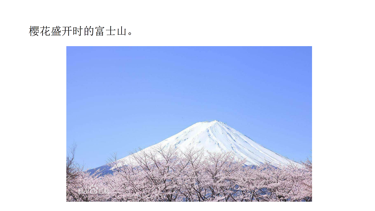 17498173第8页