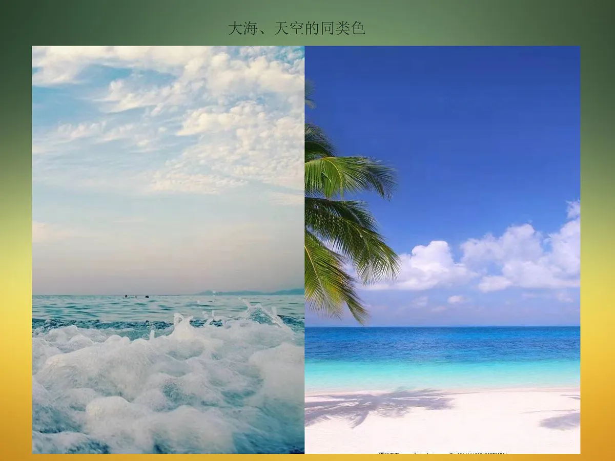 17498208第5页