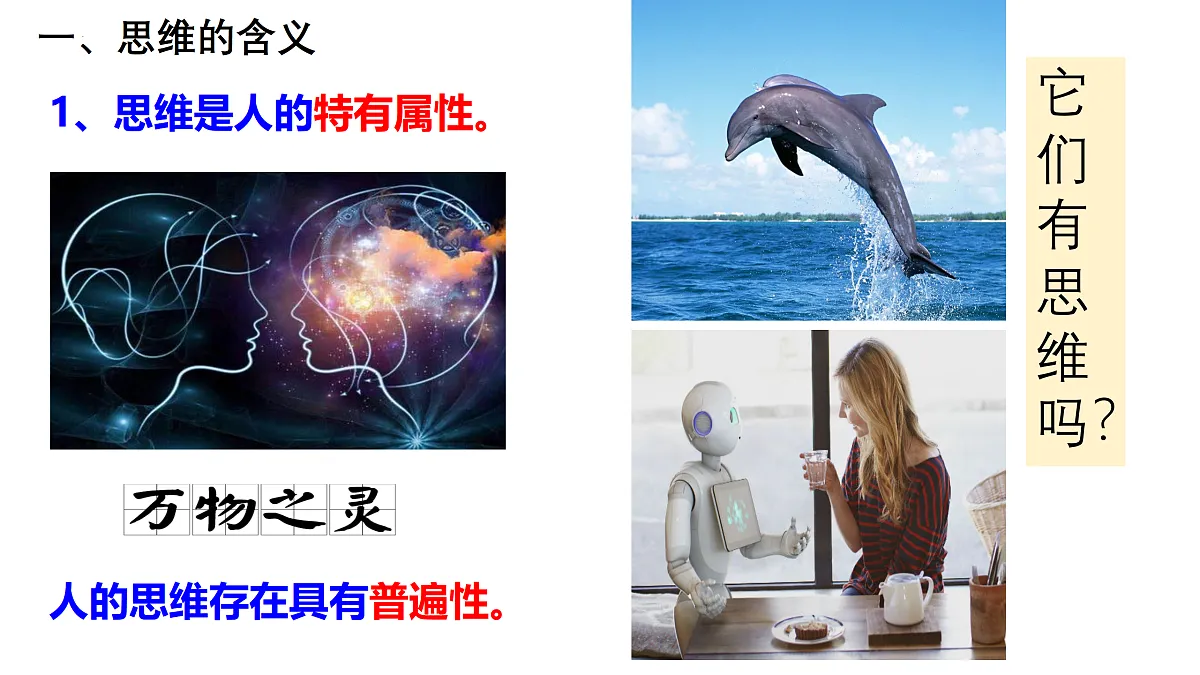17499941第4页