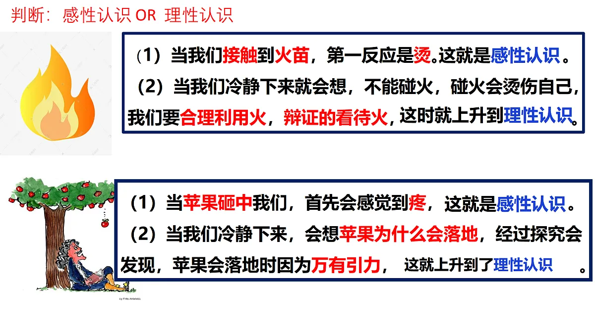17499941第6页