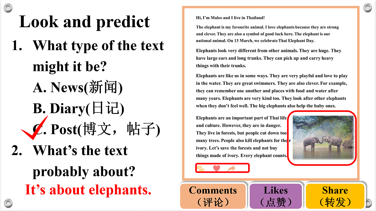 17500136第5页