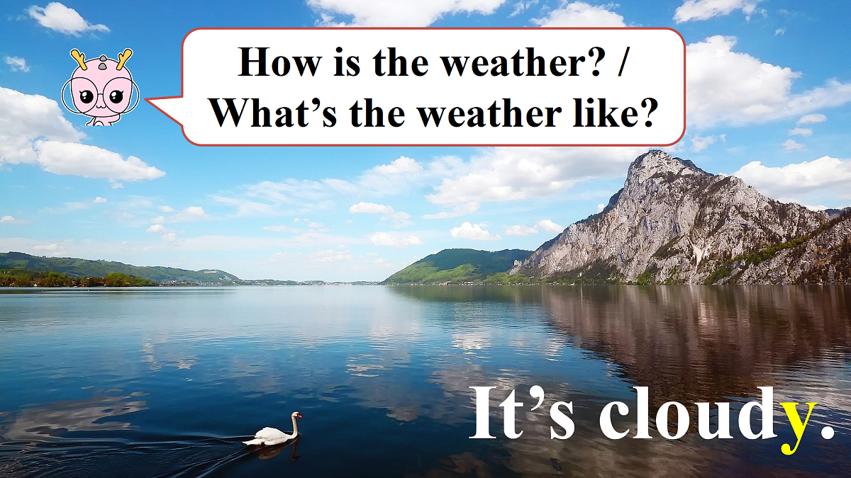 17500158第7页