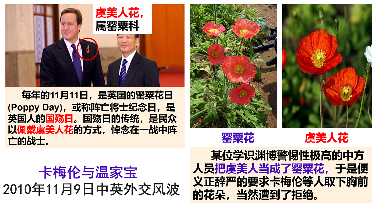 17500331第2页