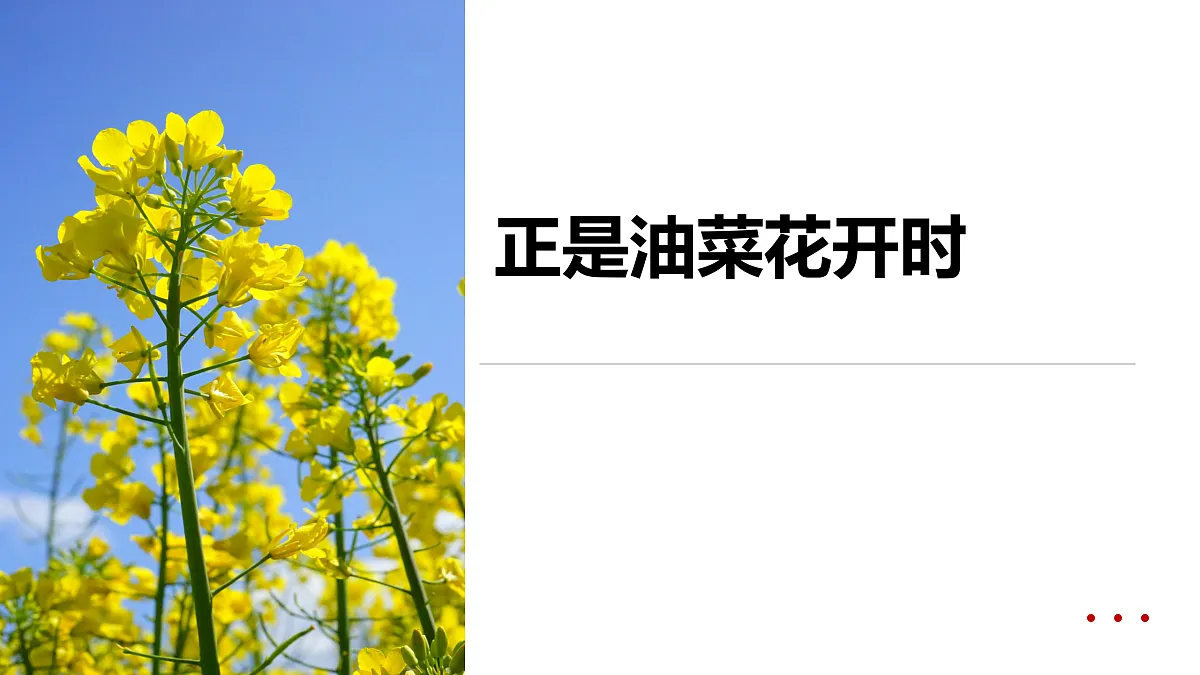 17500757第1页