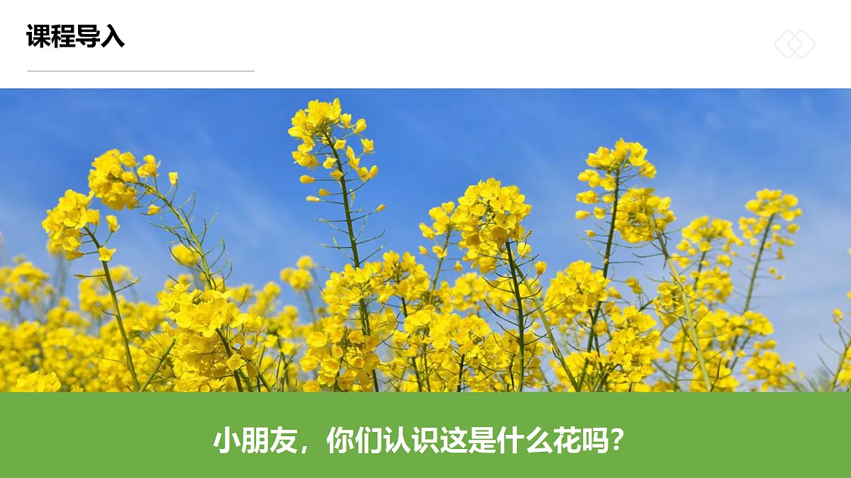 17500757第4页