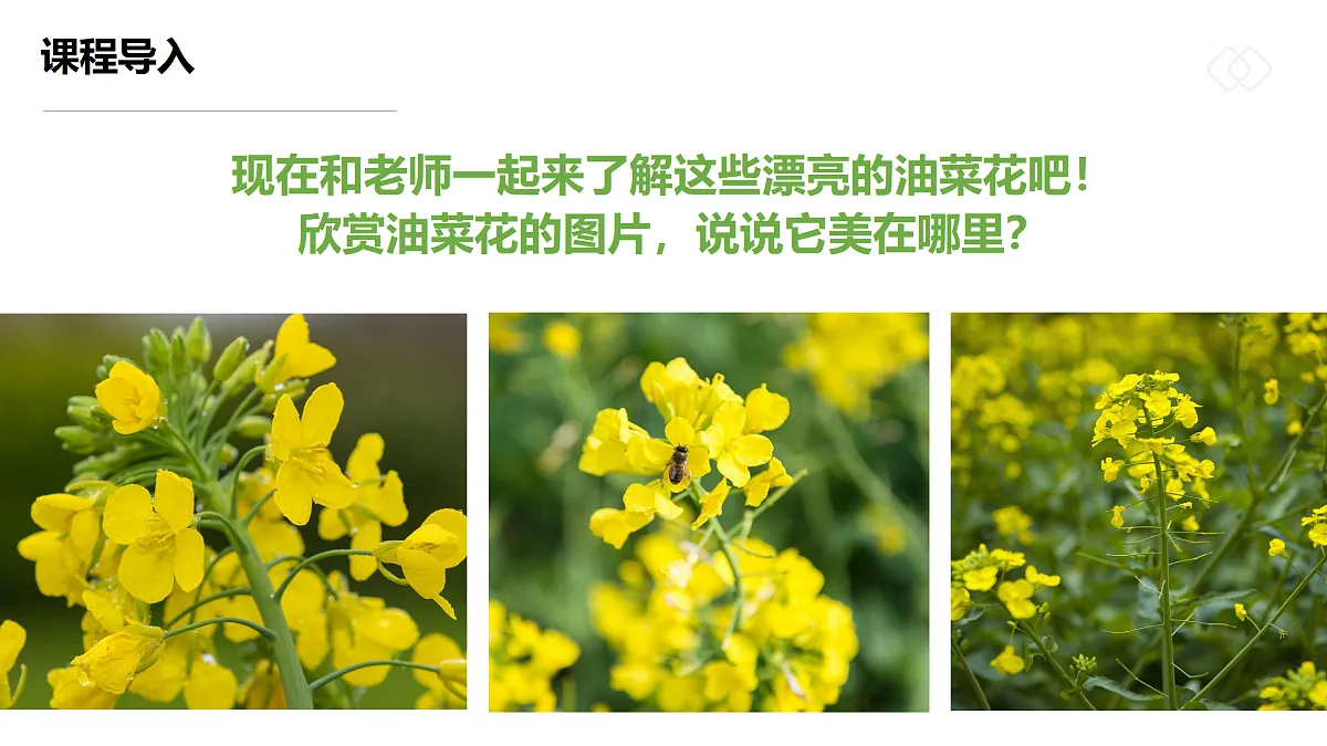 17500757第6页