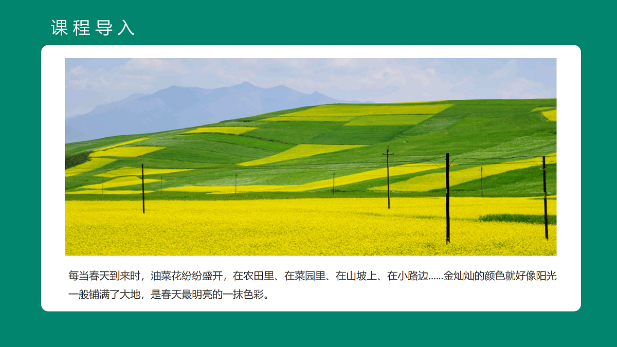 17500758第4页