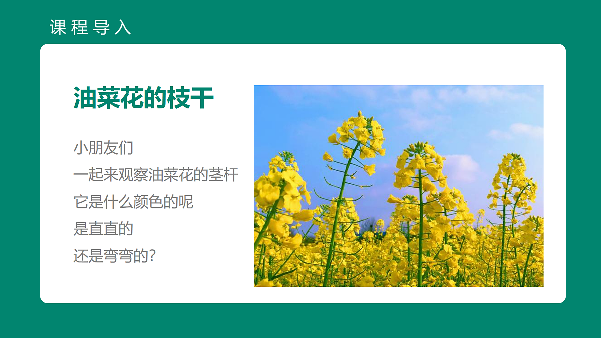 17500758第7页
