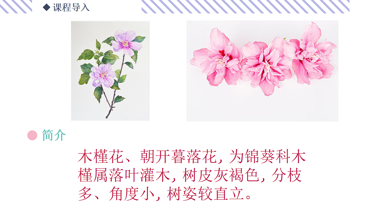17500771第4页