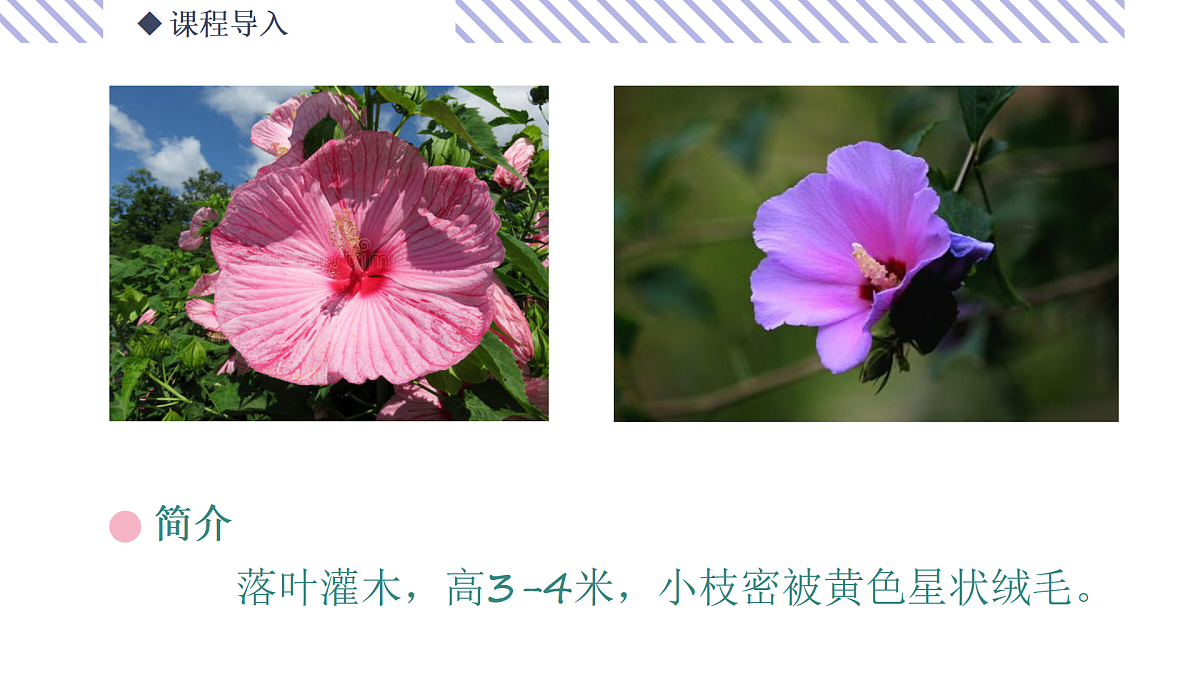 17500771第6页