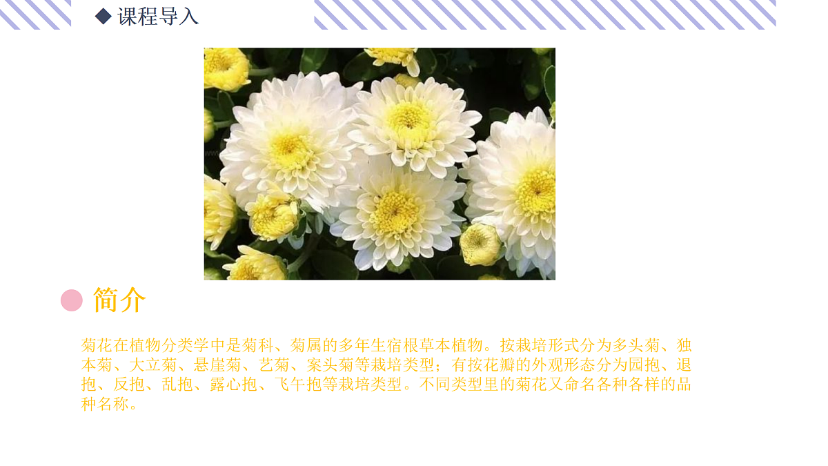 17500773第4页