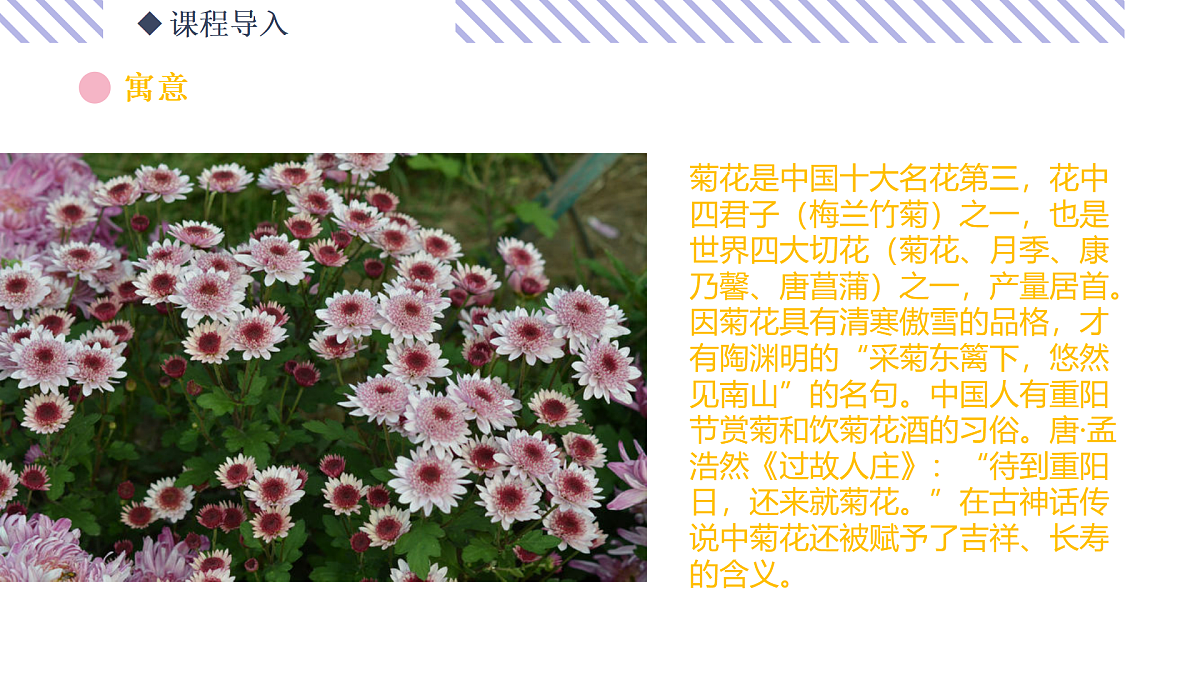 17500773第5页