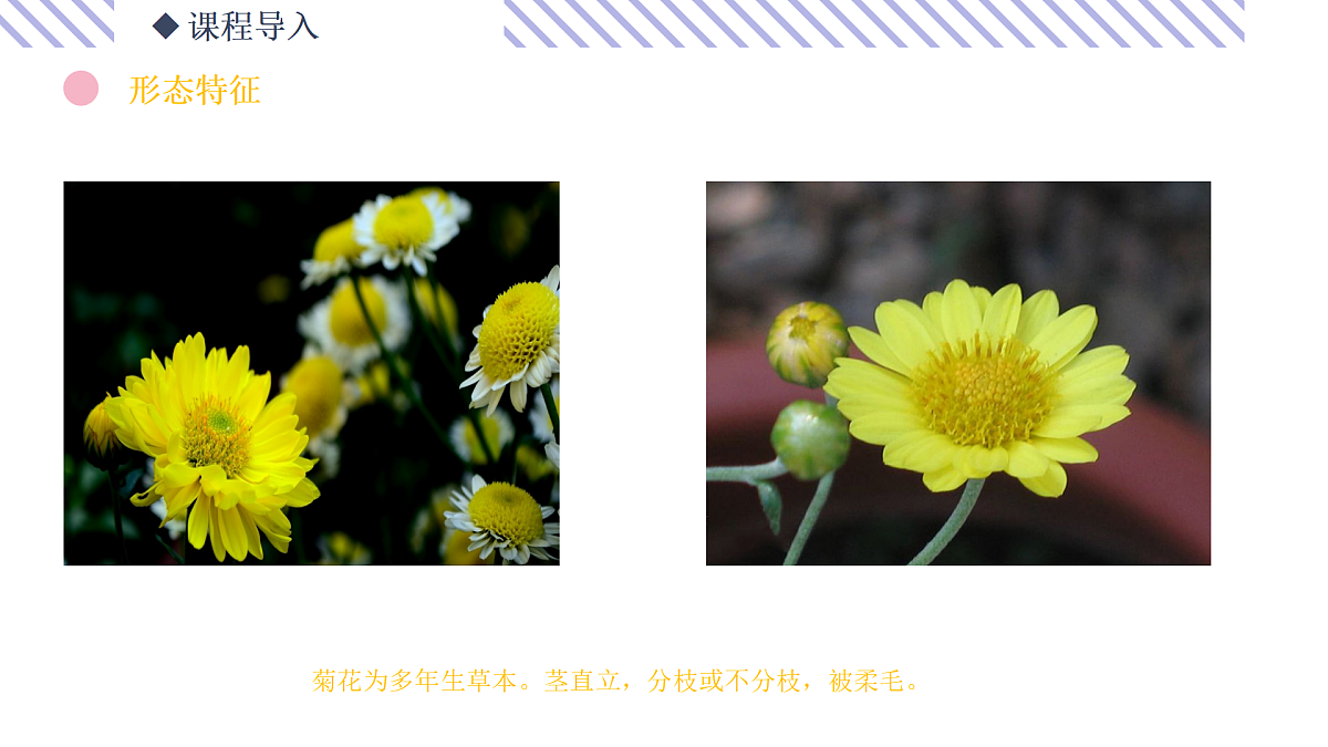 17500773第6页