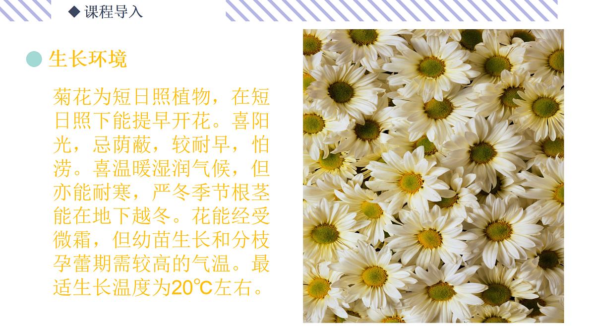 17500773第8页