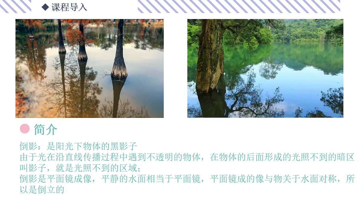 17500959第4页