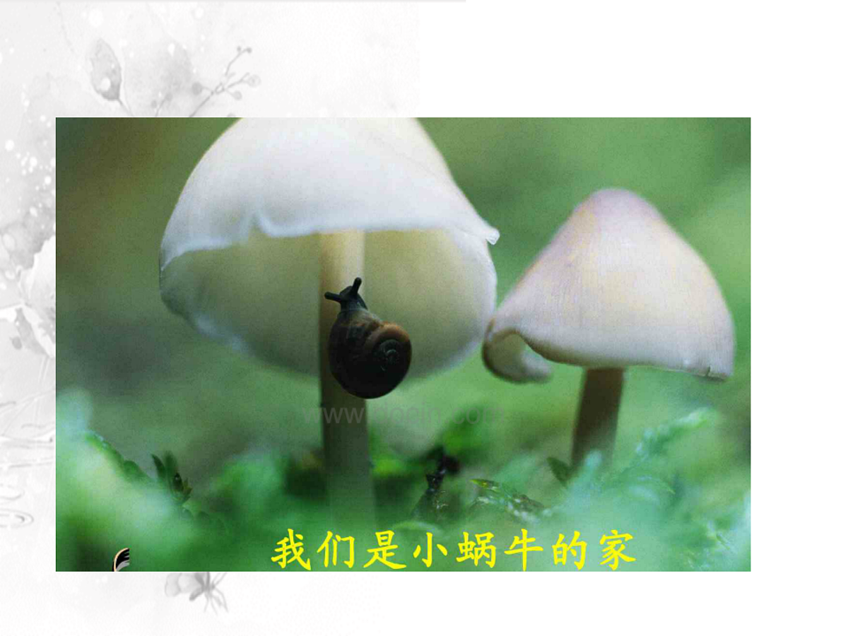 17500971第6页