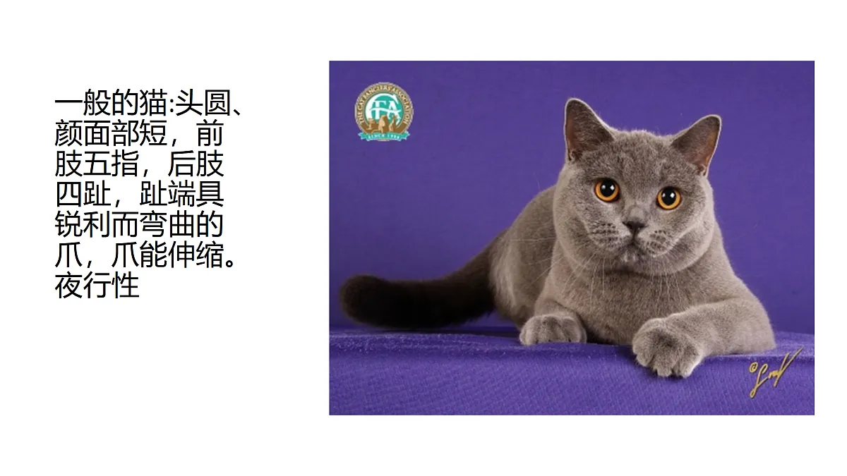 17500972第4页