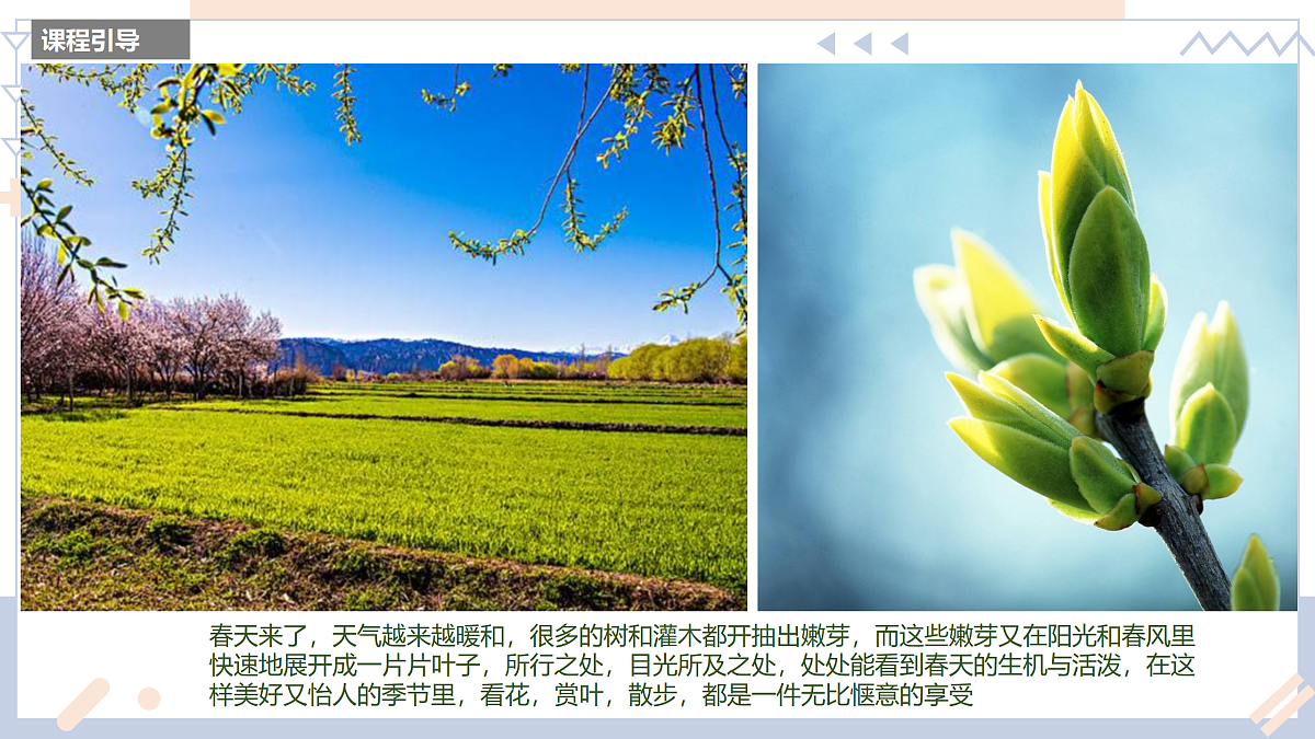 17500973第3页