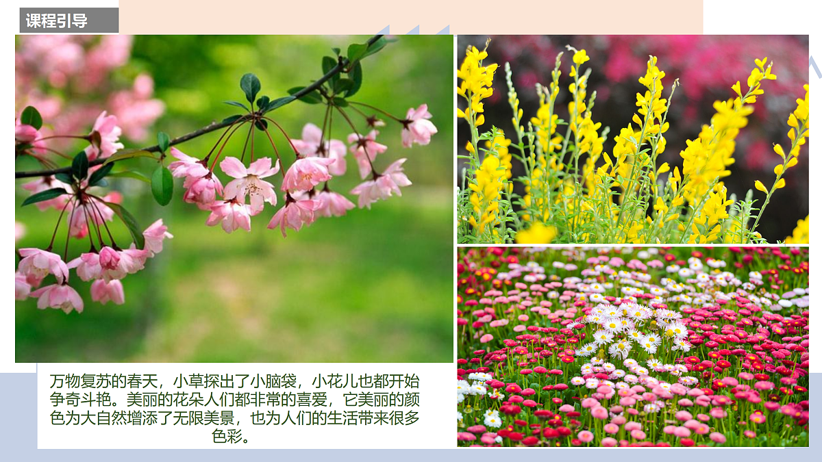 17500973第4页