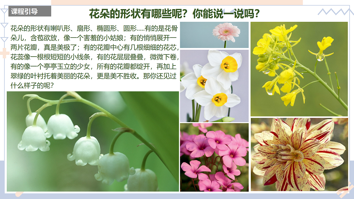 17500973第6页