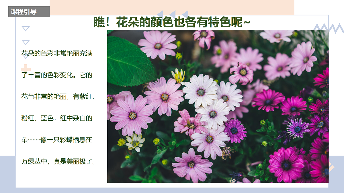 17500973第7页