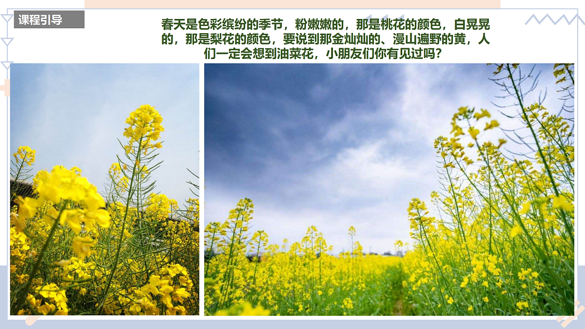17500974第3页