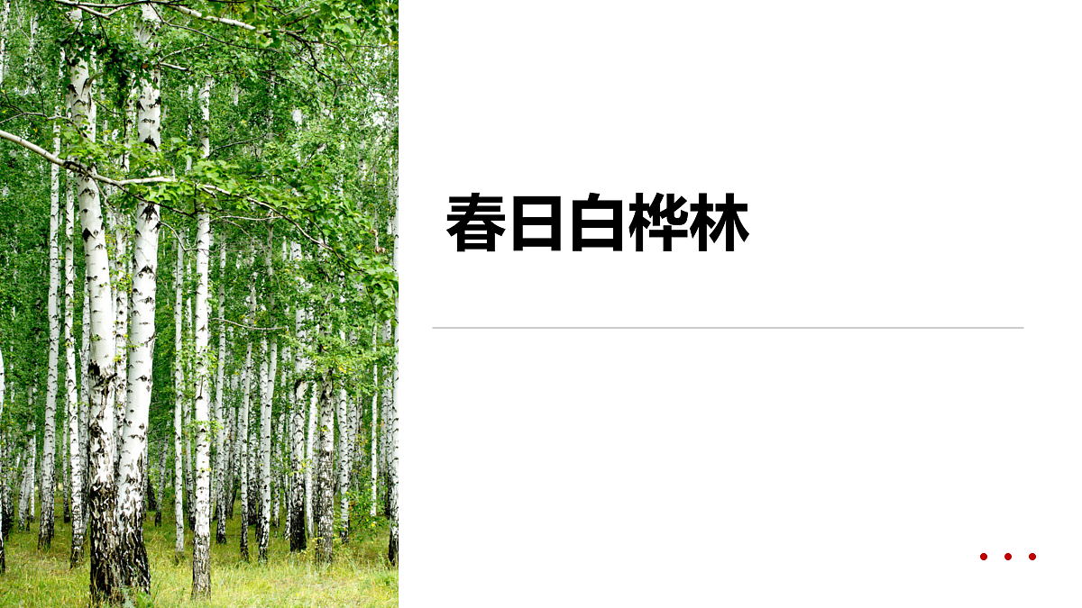 17500981第1页