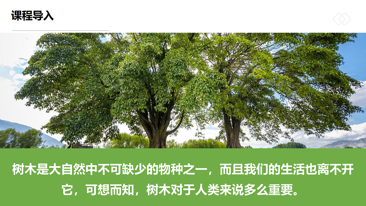 17500981第4页
