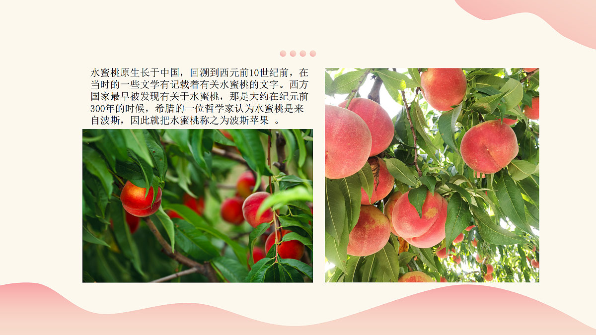 17500983第6页