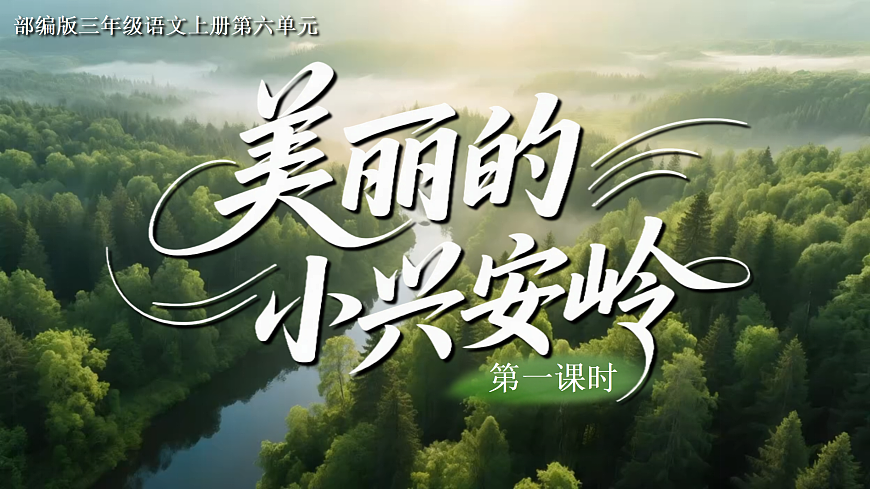 三上《美丽的小兴安岭 》第4页