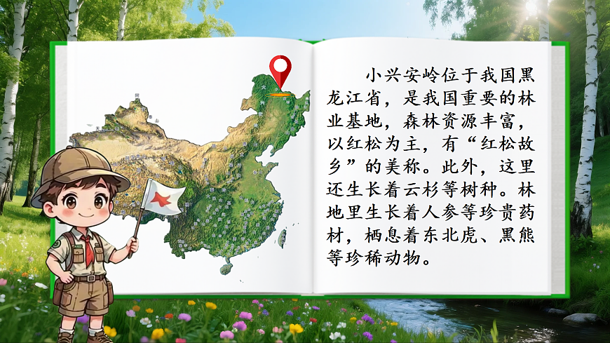 三上《美丽的小兴安岭 》第5页