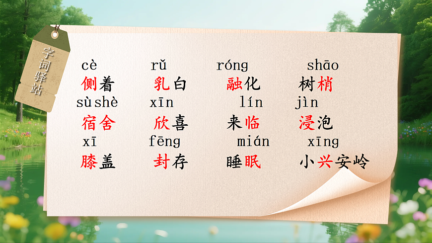 三上《美丽的小兴安岭 》第8页