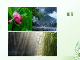 部编版语文七年级上册第3课《雨的四季》课件