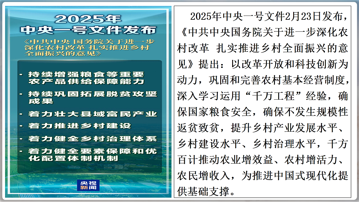 17502060第3页