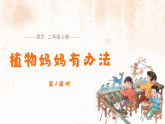 3 植物妈妈有办法（第1课时） 课件-2025-2026学年语文二年级上册统编版