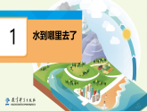 教科版（2024）科学三年级上册 2.1 水到哪里去了（课件+教案）
