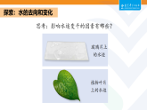 教科版（2024）科学三年级上册 2.1 水到哪里去了（课件+教案）