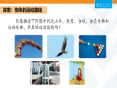 教科版（2024）科学三年级上册 3.3 直线运动和曲线运动（课件+教案）
