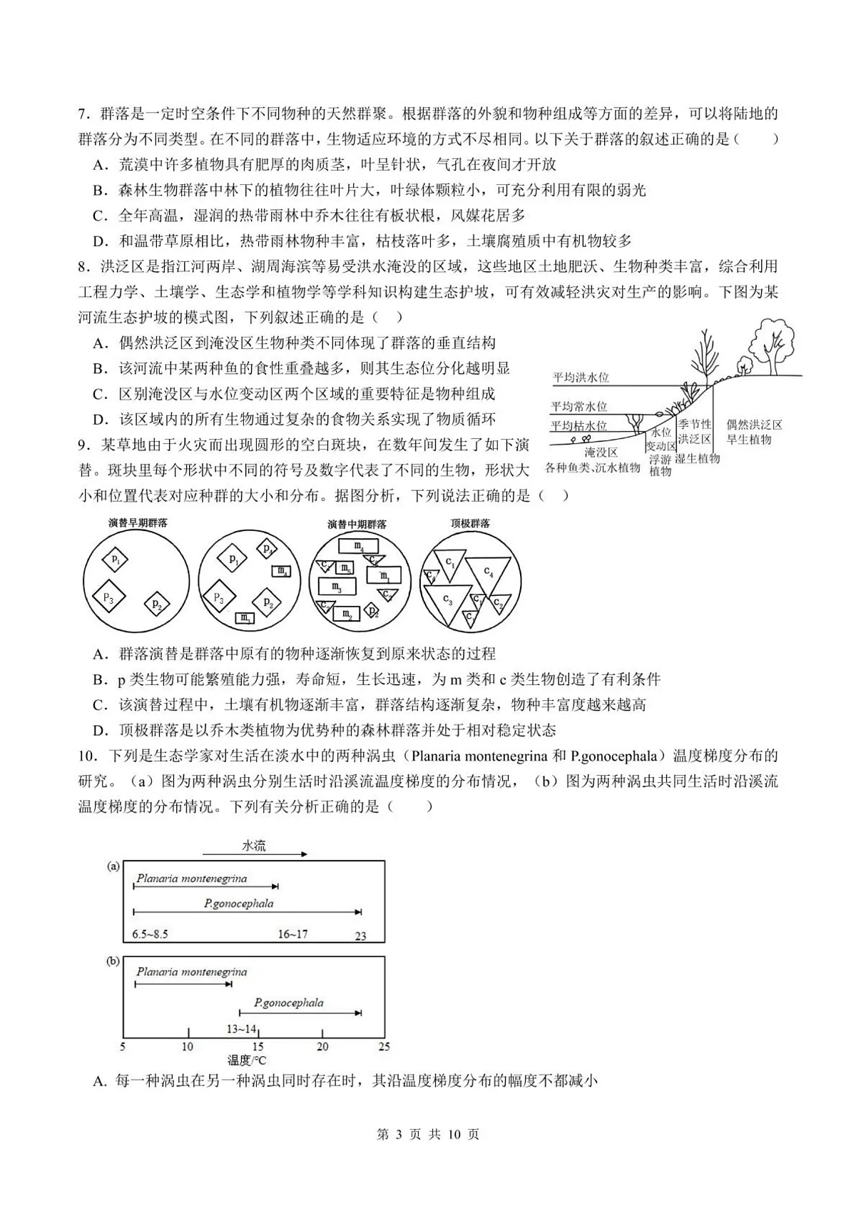 17502646第3页
