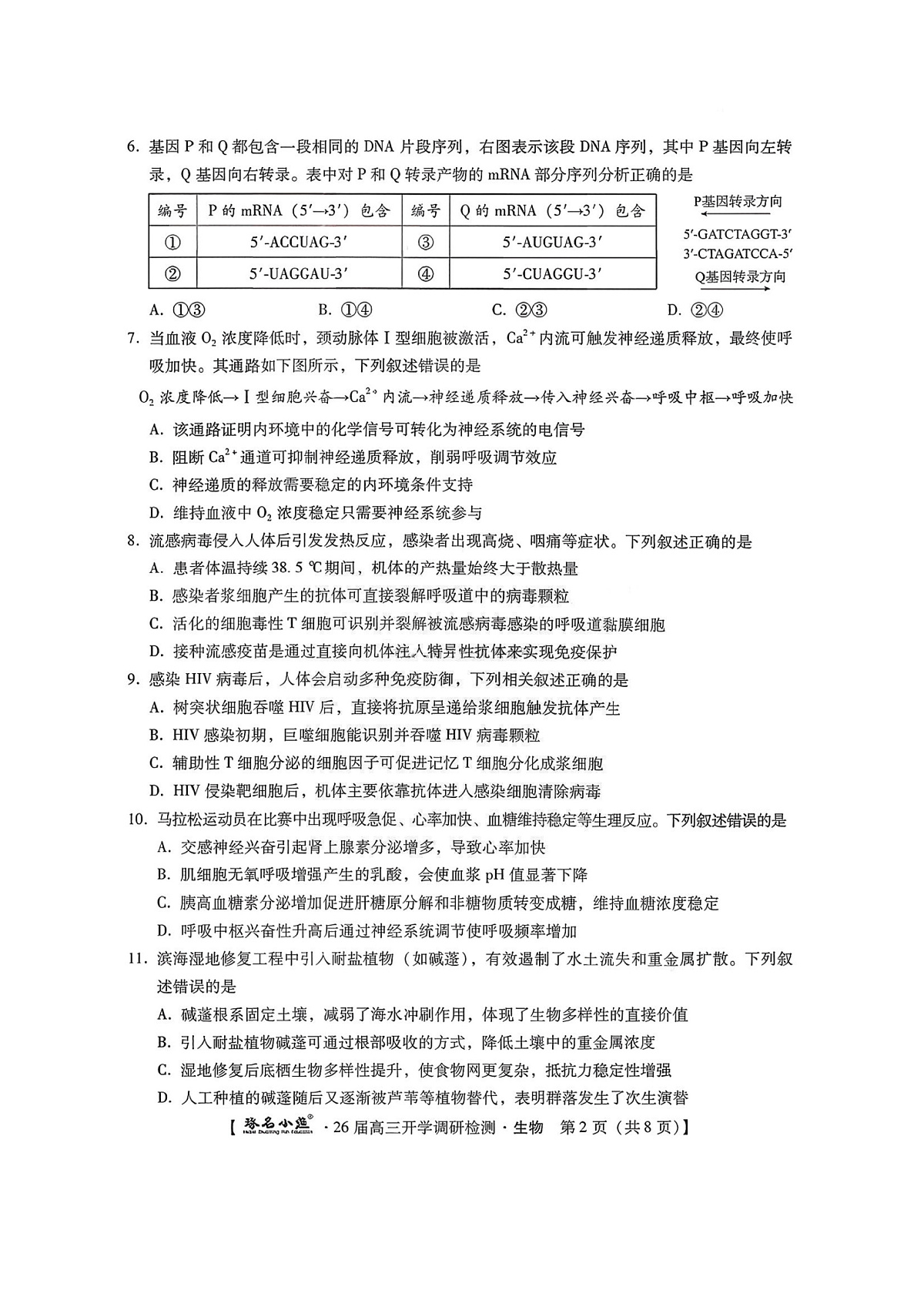 17502723第2页