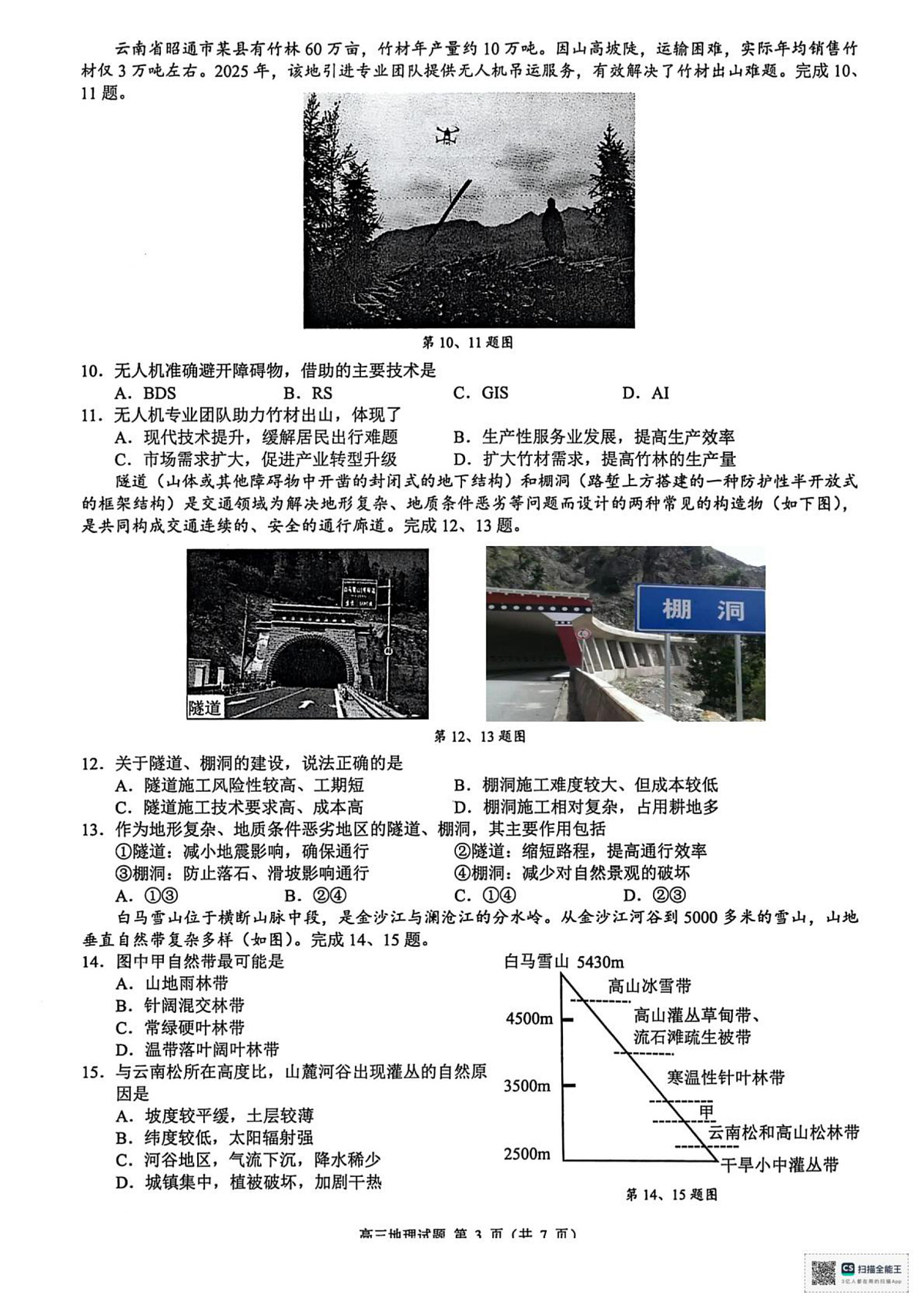 17502958第3页