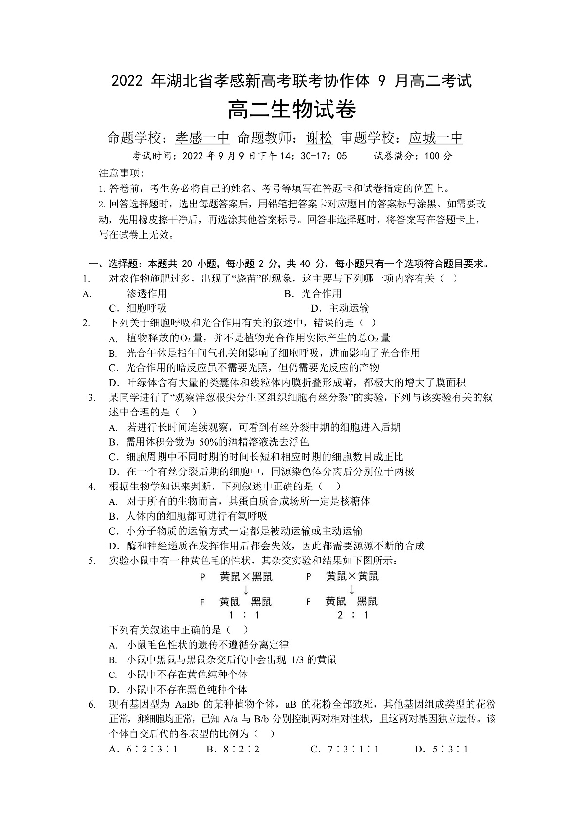 17502977第1页
