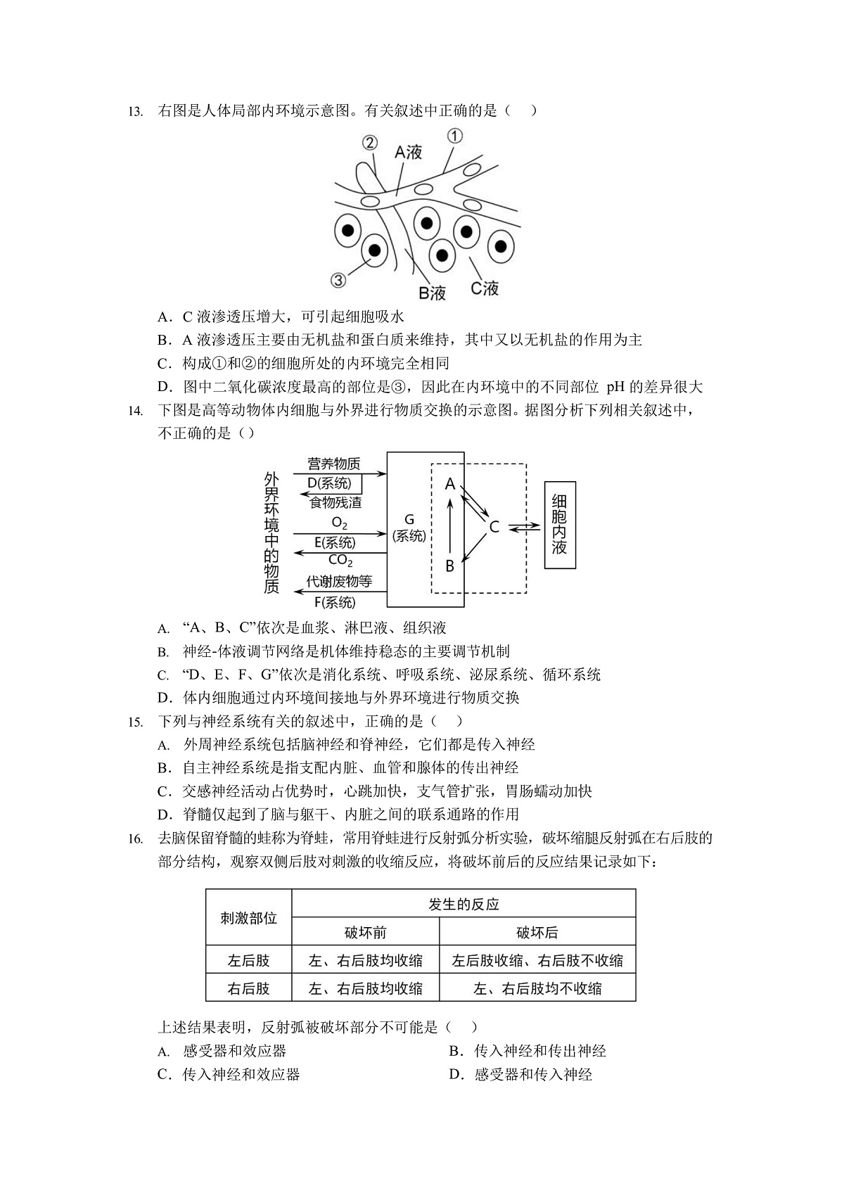 17502977第3页