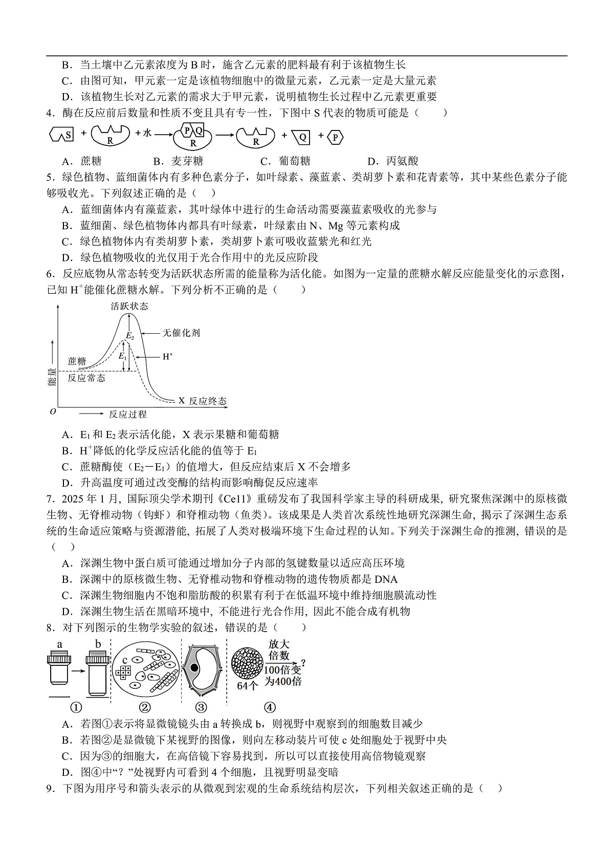 17502994第2页