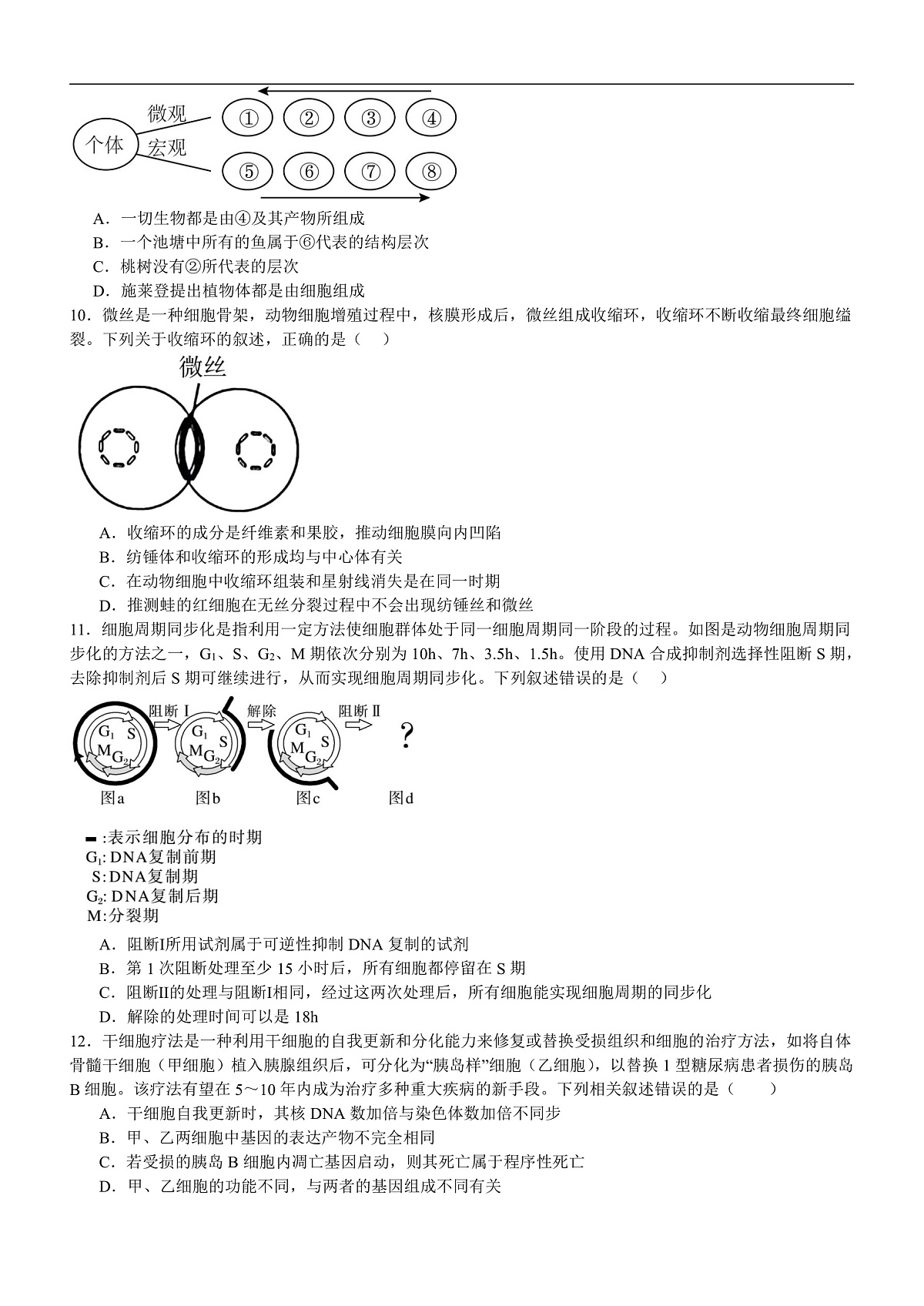 17502994第3页