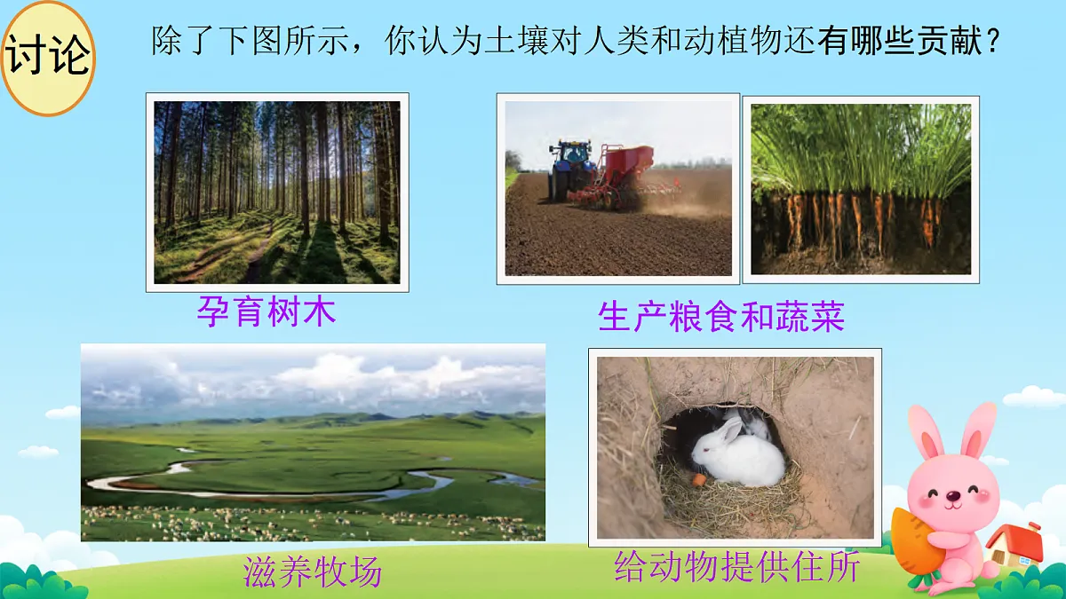 17503336第5页