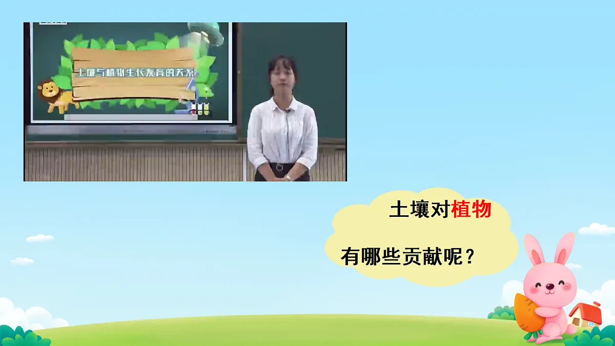 17503336第8页