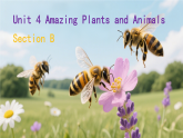 Unit 4 Amazing Plants and Animals Section B 课件 2025-2026学年人教版英语八年级上册