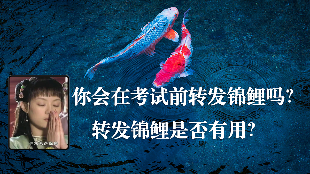 17503526第2页